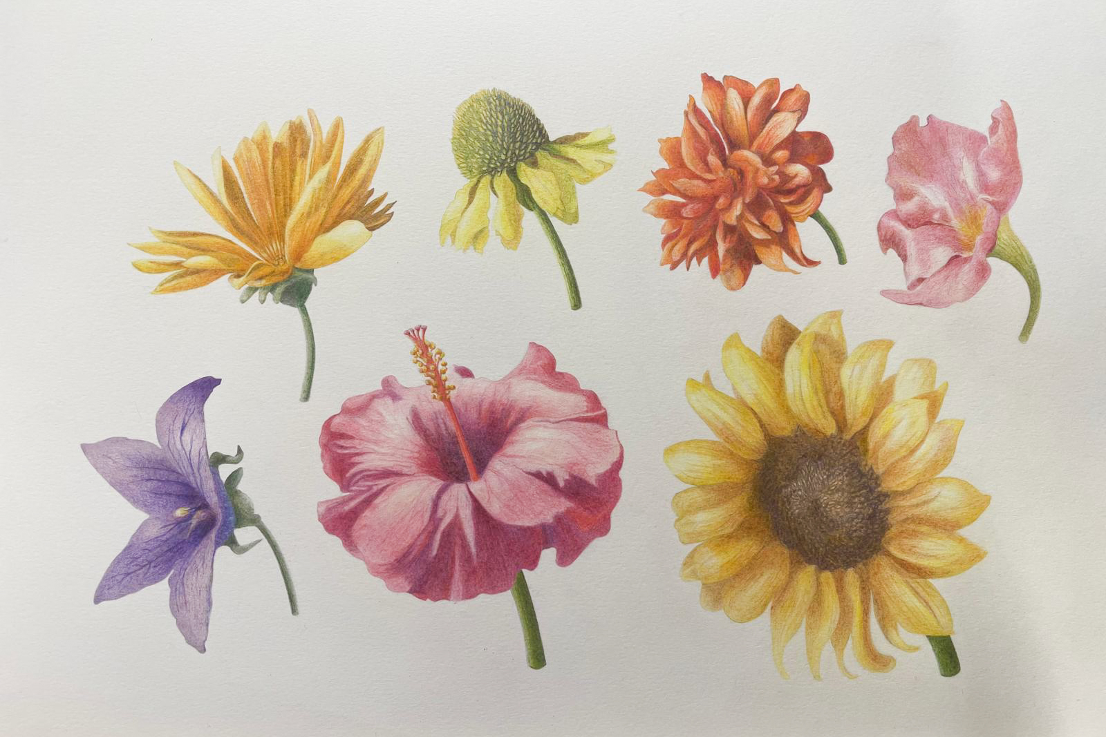 atelier%20nikki%20workshop%20schilderen 9